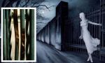 LAla grigia della Morte