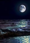Non portarle tutte a vedere il mare
