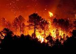 Fuoco