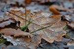 Solstizio d’inverno