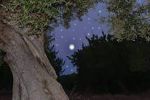 Alla notte