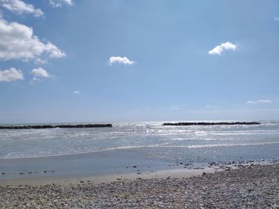 La voce del mare