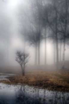 Novembre