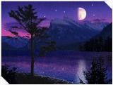 Moonlight