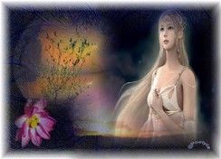 Sogni incantati  