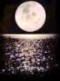 Luna bastarda