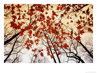Soffia il vento
