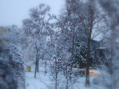 Fiocca la neve