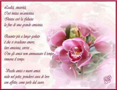 L'amicizia, dono raro