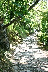 Nel viale dei ricordi