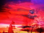 Nel cielo danza il tempo