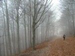 Città nella nebbia