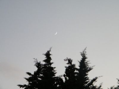 La luna
