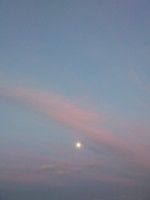 Luna velata