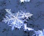 Neve sul mondo