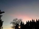 Alba d’amore
