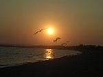 Volo al tramonto