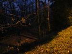 Come d’autunno