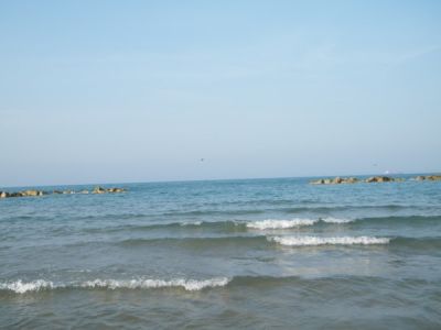 Il canto dell’amore