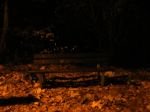 Magico autunno