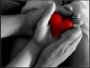 Sente, gusta, respira, sfiora e vede il cuore