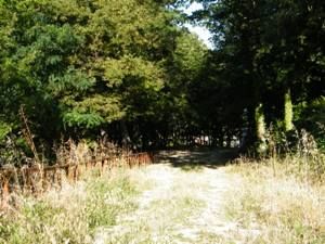 Rinascere si può