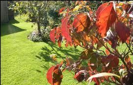 Estate o autunno?