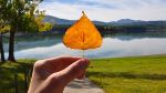 Primavera dautunno