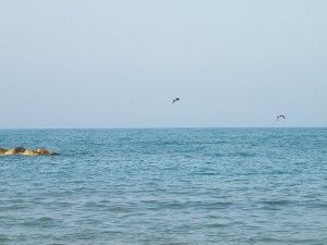 Il mio mare immenso