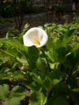 Aria di primavera