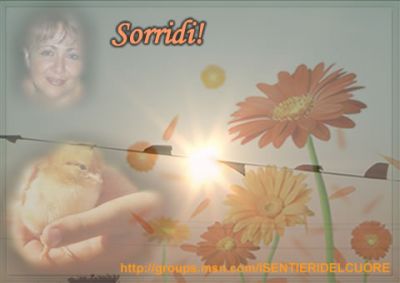 Sorridi