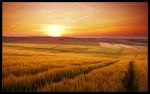 Un mattino