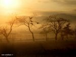 Preludio d'inverno