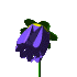 Com'e'