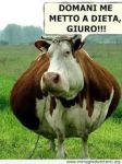 Da lunedd...sto a dieta!