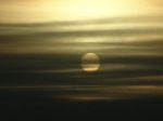 L'alba arriva con il grido