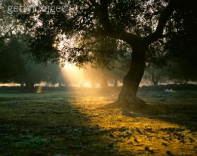 Il sole sorge