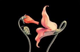Doppio fiore