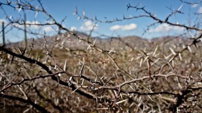 Un piccolo frammento
