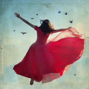 Alla volont di volare