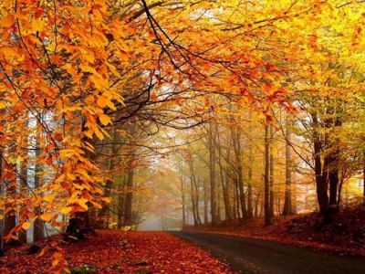 Autunno