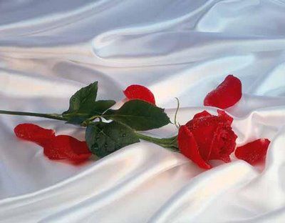Per un amore