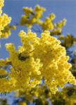 Inaspettata missiva