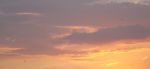8 Settembre 2010