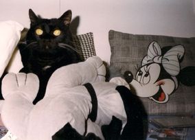 Tepore per non perire!