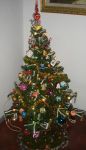 Facciamo l’albero!