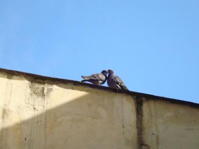 Dolcezze sotto il sole