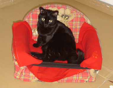 Quanto bene vuoi alla nonna!