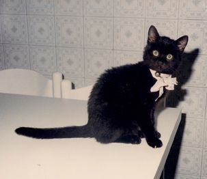 Indimenticabile batuffolo