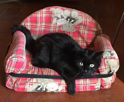 Quindici anni vicine!